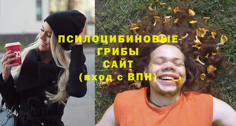 где купить наркотик  Уфа  Псилоцибиновые грибы мицелий 